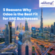 Why Odoo is best for business in UAE